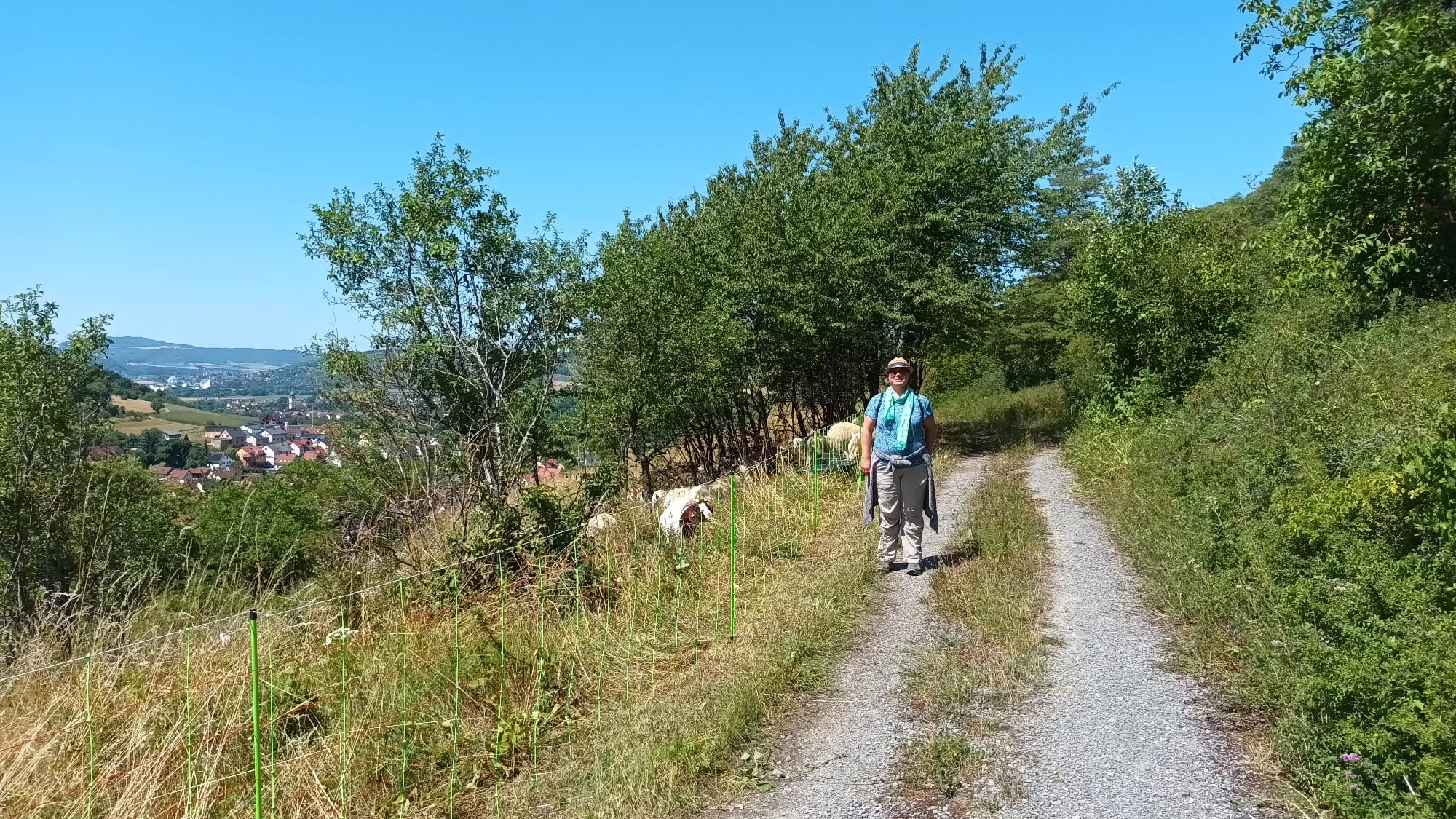 Frauenwanderung Elfershausen 7 2026 2
